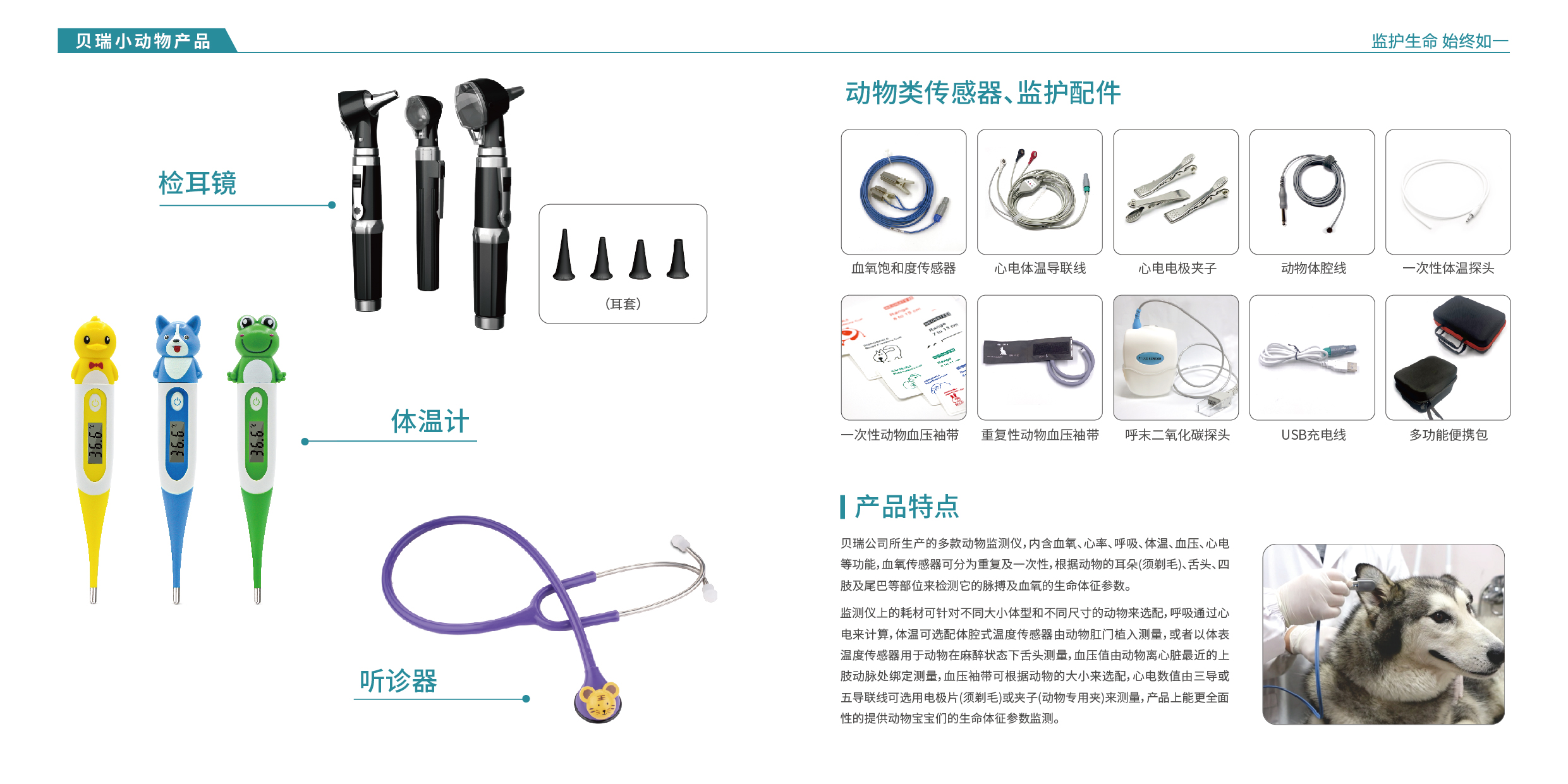 2025小动物中文-05.jpg
